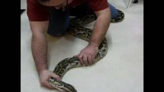 Injection En Intra Musculaire.wmv Injection En Intra Musculaire.wmv