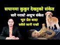 सपनामा कुकुर देख्नुको संकेत, सारै नराम्रो संकेत, Dream In night see dog, safankofal