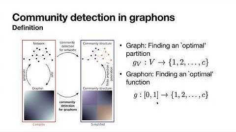 Florian Klimm: Modularity maximisation for graphons