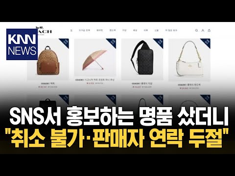 정가보다 턱없이 낮은 가격 , 소비자 <strong>홀리는</strong> 가짜 쇼핑몰/ KNN