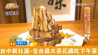 【台中新社】全台最大茶花園吃下午茶！明月居茶花山莊食尚玩家