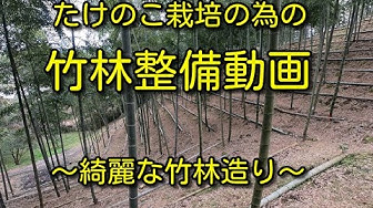 Youtube Youtube