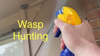 Wasp Hunting Homemade Wasp / Bug Killer by Papa Joe knows 429 views 4 months ago 57 seconds