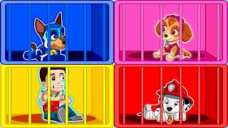 Sorry Paw Patrol ! Ryder Go To Prison - Very Sad Story | PAW Patrol Ultimate Rescue Missions