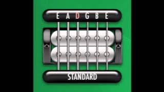 Perfect Guitar Tuner (E Standard = E A D G B E)