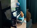 Relaxed Cat gets caught doing this - Cat Highlights 🚀 Blow Up!