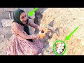 From Cement Blocks To Giant Bones The Story Of Behnaz And The Operator From Cement Blocks To Giant Bones The Story Of Behnaz And The Operator