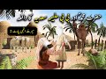 Hazrat muhammad sawv aur bibi halima ka waqiya  seerat un nabi part2   islamic lifecycle