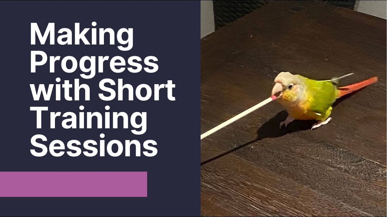 Short Training Session Making Progress with Short Training Sessions - YouTube