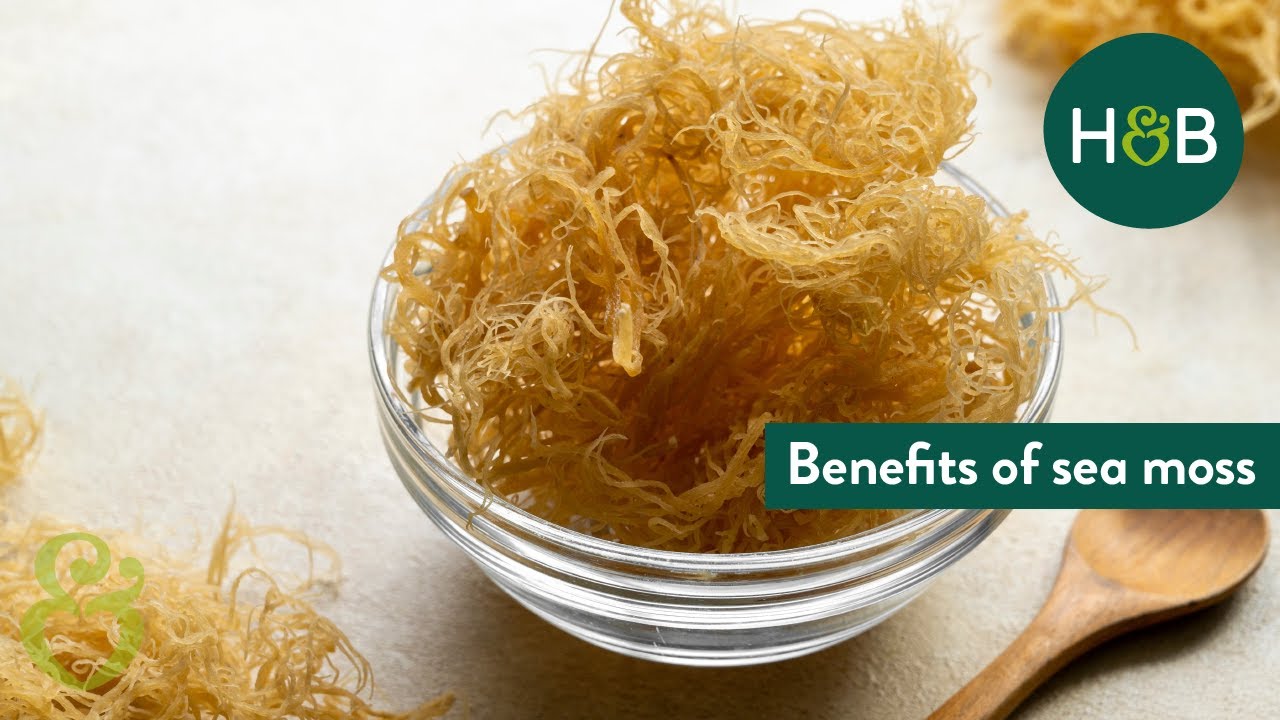 Irish Sea Moss Gel - Wellness Within - Mental Health South Africa