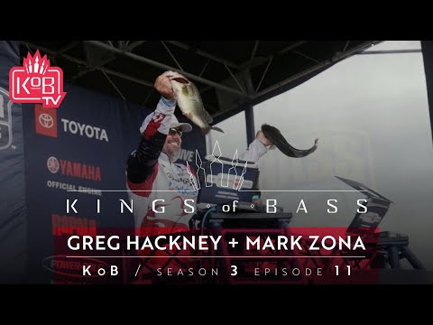 Video: Greg Hackney niyə mlf-dən ayrıldı?