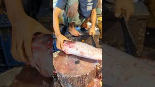 Amazing Big hat  Fish Cutting in Bangladesh Fish Market | Expert Butcher Skill #shorts #fishcutting
