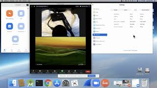 Chromecast In Zoom