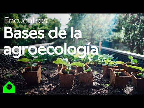 Video: 10 maneras únicas de ecologizar su hogar ecológico al aire libre