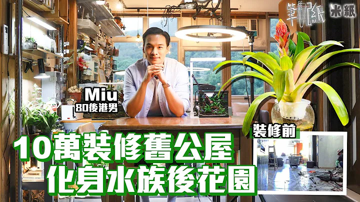 #米紙｜10萬全屋裝修489呎黃大仙舊公屋 9成傢俬二手夜冷店搜羅 80後港男買公屋首置上車 翻新變鬧市綠洲水族館 反思生活要有儀式感｜#筆記紙 - 天天要聞