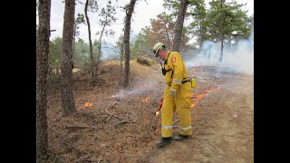 Untrammeling the Wilderness: Restoring Natural Conditions Through the Return of Human-ignited Fire