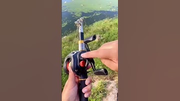 Bộ cần câu LURE cá lóc rút gọn 33cm dài 1,8 mét, máy câu 10kg | Fishcamp Việt Nam #4 #fishinglure