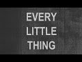 Miniature de la vidéo de la chanson Every Little Thing