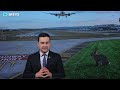 Eron yana nishonda, Kiyev Rossiya hujumiga uchradi, Husiylar Saudiyaga raketa uchirdi