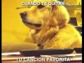 el perro que se cojio a su dueña