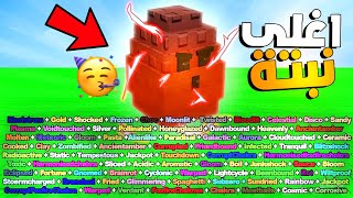 حطيت أقوى تطويرات الأدمن على أغلى بذرة بماب المزرعة😱 Grow a garden roblox screenshot 5