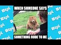 When Someone Says Something Rude 👋 | Animals Waving | #thatpetlife