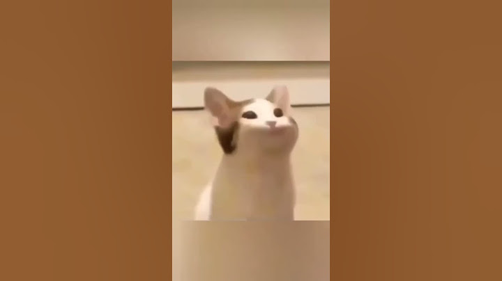 Boci boci tarka nessaj módra XD