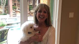 Reviews of Tip Top K9 | Tip Top K9