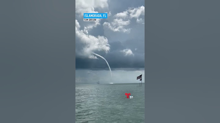 Captan tromba marina en Florida