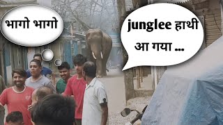 Wild elephant a shop attack || जंगल का हाथी गांव में गुस्सा || elephant attack | #fun1998
