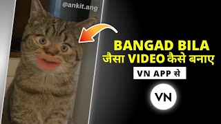 Bangad Billa Funny Reels Video Editing In Capcut | Billi Wala Video Kaise Banaye | Funny Reels Video