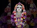 Phool Kali chand🙏🏻🤲🏻🌺🌹🌹🌹🔱🔱🔱🥀🥀🥀🥀🪷🪷🪷🌿🌿🌿❤️❤️❤️🪷🪷🪔🪔🪔