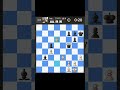 Chess Game #chess #knight