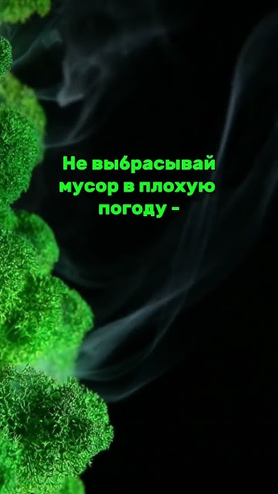 Не выбрасывай мусор! - YouTube