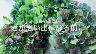 「君が思い出になる前に」〜穏やかな想い西村由紀江・曲