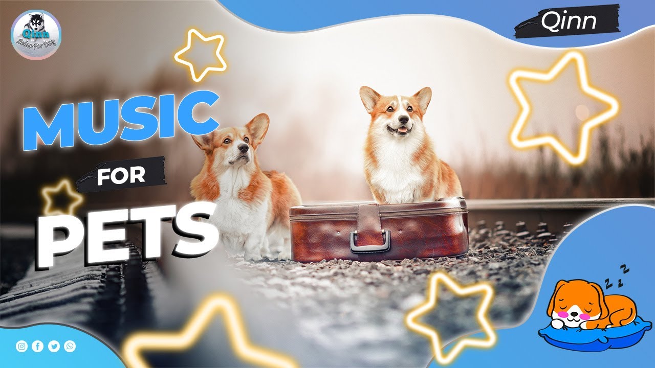 10 HOURS OF PET MUSIC! Relaxing Music to Soothe and Comfort Pets and Help Calm and Reduce Anxiety! 🐹