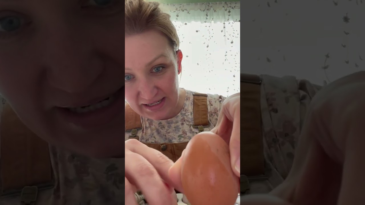 BLOOM on a chicken egg!