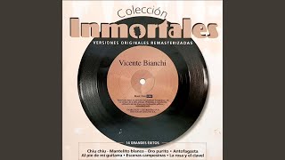 Video thumbnail of "Vicente Bianchi - La Tranquera"