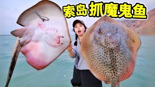 Catching rays on Socotra Island, Devilfish weighs 5 pounds, cooking fishballs is delicious！