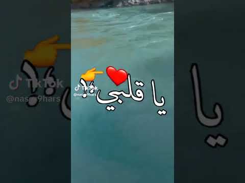 اسكت يا قلبي دا انت اللي جيبلي مصايب 
