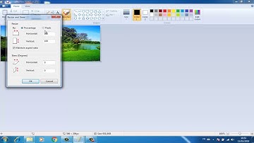 Resize Pictures with paint in windows