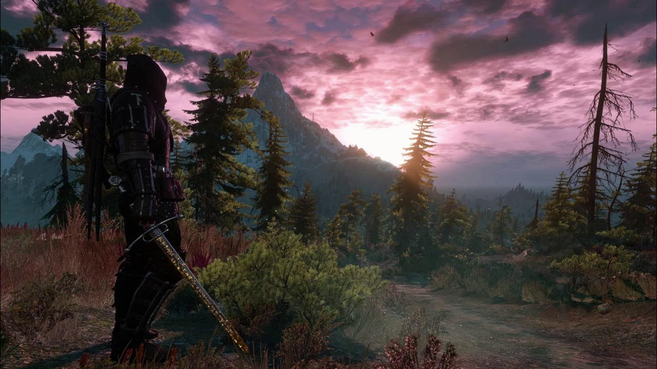 Witcher 3 soundtrack the trail фото 118