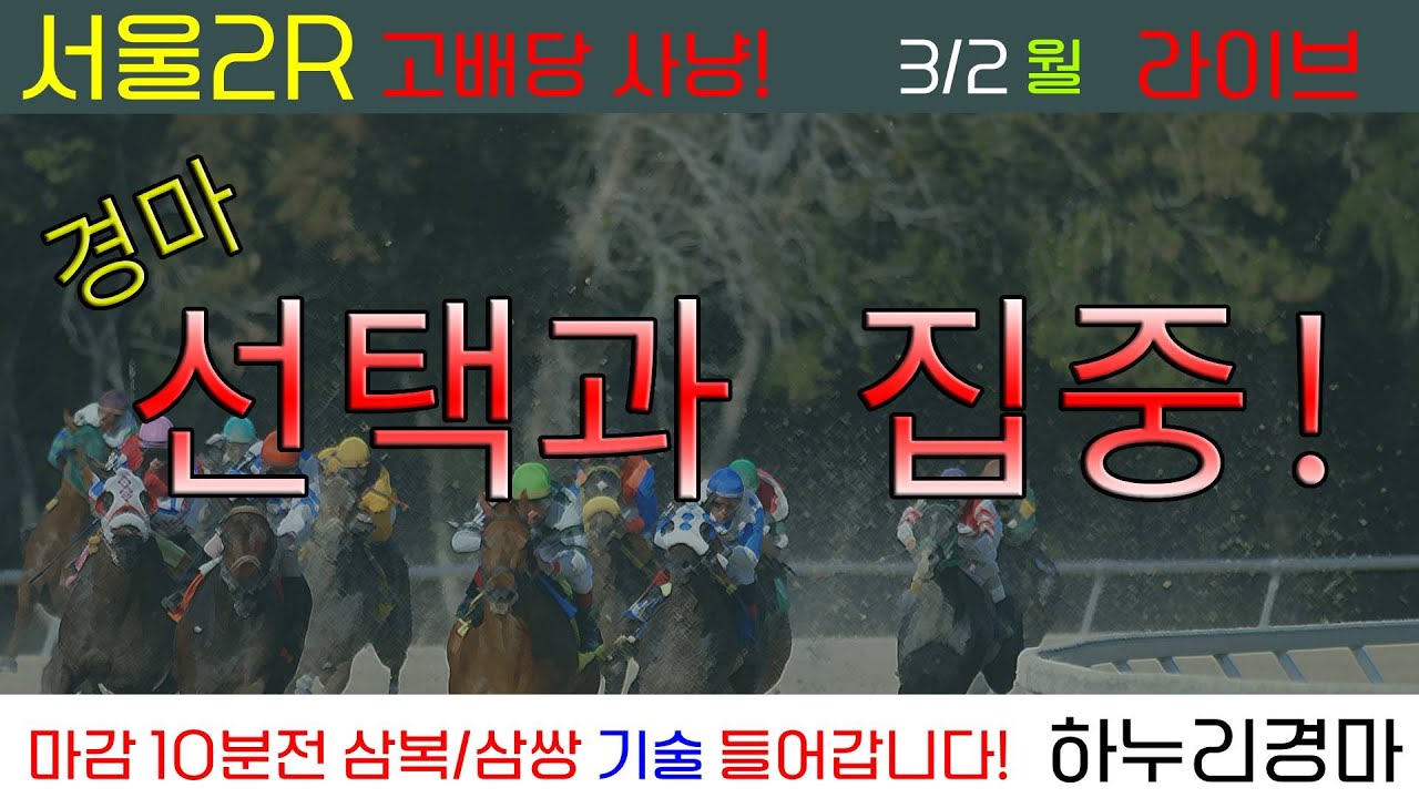 3/2(월) 경마 선택과 집중! 2R 고환수 공략! 경주별 삼복/삼쌍 기술 들어갑니다!!