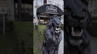 Moving to Long Beach? Top Floor Sovereign Historic Condo For Sale Ricardo the Realtor - Real Estate