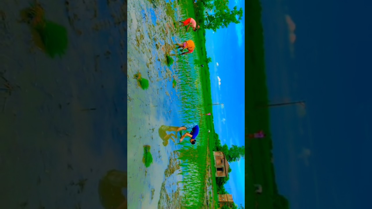 Explore [wonderland village]: Where Tradition Meets Modernity | A Timeless Journey😍