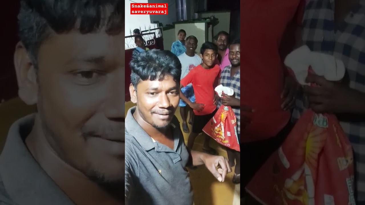 ஆனைக்கல்பாளையம் அருகே குடியுரிப்பு வீட்டில் மீட்கப்பட்ட அபூர்வ வகை சிகப்பு மண்ணுளிப்பாம்பு🐍