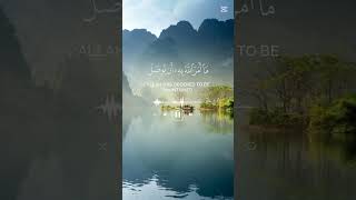 | Surah|#quran | Allah | Hazrat Muhammad (S.A.W .W) | Hazrat lmam Ali(a.s)| ya ibadi allazina amanu|