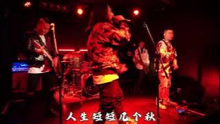 「我在人間逍遙遊 向風向雨向自由」 #音樂分享