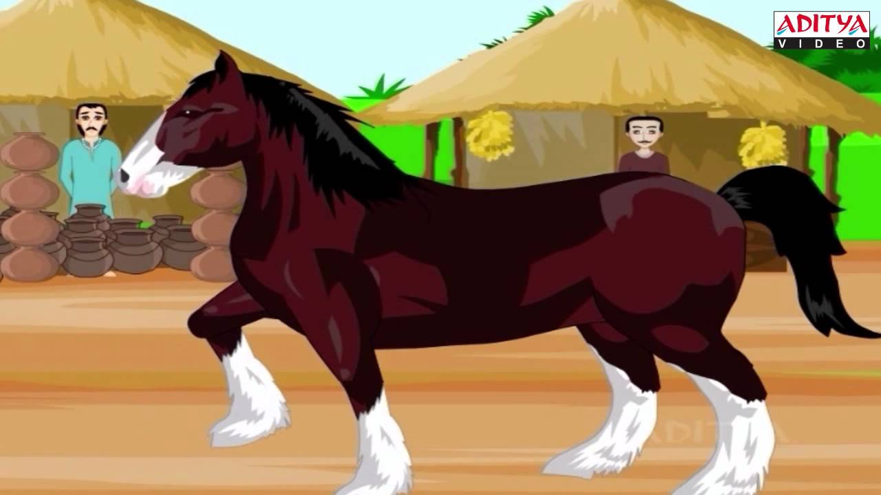 Horse story