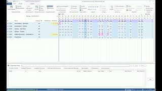 Rillsoft Projektmanagement Software – Erfolgreiche strategische Kapazitätsplanung